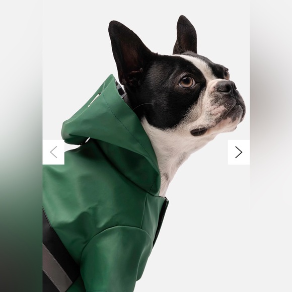 Silver Paw Other - ❤️ NWOT Silver Paw Dog Reflective Raincoat Kids Green Hooded Raincoat